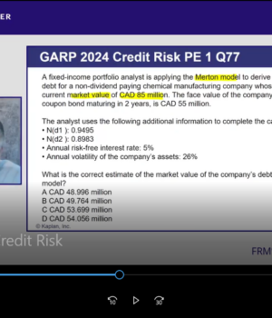 FRM 2025 Schweser Videos Part 2 with Slides