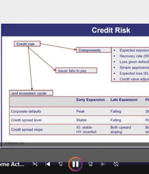 CFA 2026 Schweser Level 3 Portfolio Management Videos Review Workshops